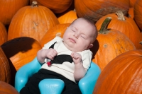 addie bumbo pumpkins