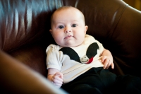 addie sitting pretty