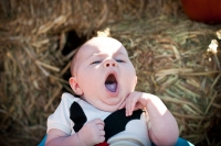 hay-bale-yawning
