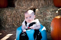 hay-bales