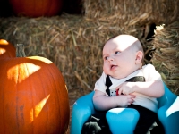 looking-pumpkin