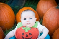 pumpkin-bib