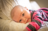 addie-bed2