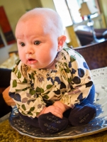 addie-sitting