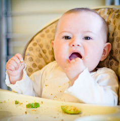 eating-avocados