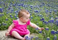 addie-bluebonnets1