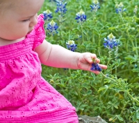 addie-bluebonnets7