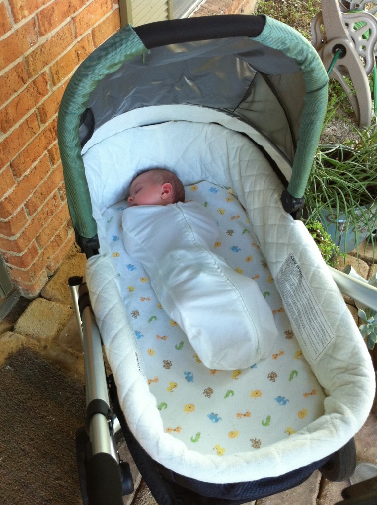 SwaddlePod Stroller